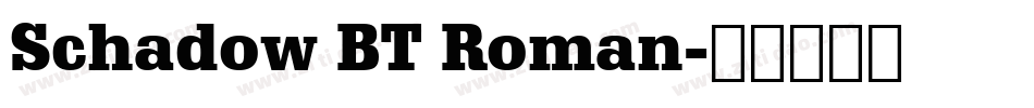 Schadow BT Roman字体转换